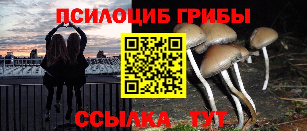 Галлюциногенные грибы ЛСД  Вход с VPN  Сургут 